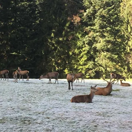 Dieter Rothfuss شقة *