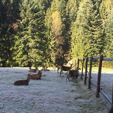 شقة Dieter Rothfuss بيرسبرون