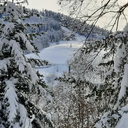 Dieter Rothfuss شقة بيرسبرون