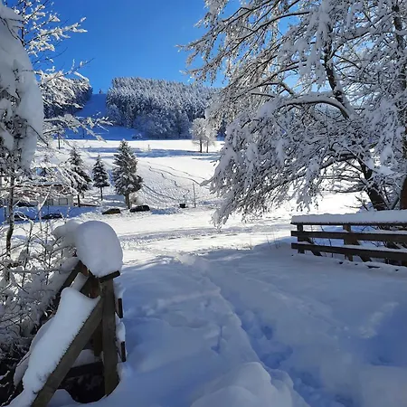 Dieter Rothfuss * بيرسبرون