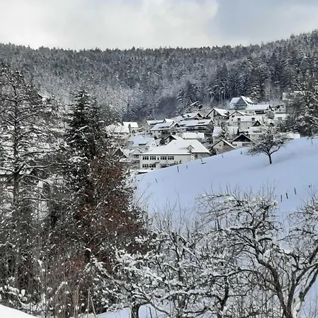 Dieter Rothfuss بيرسبرون