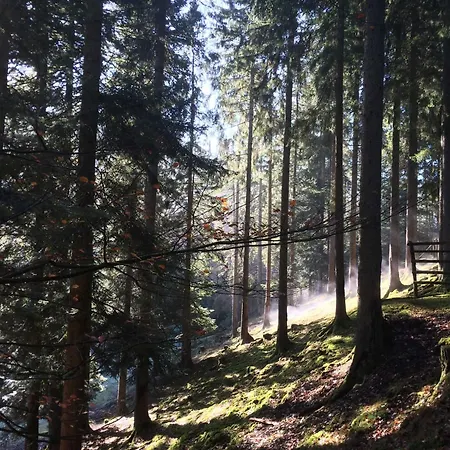 شقة Dieter Rothfuss *