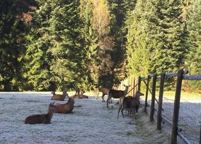 Апартаменты Dieter Rothfuss Байрсброн