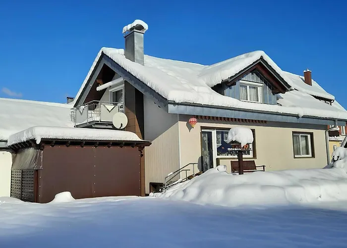 Dieter Rothfuss Апартаменты *