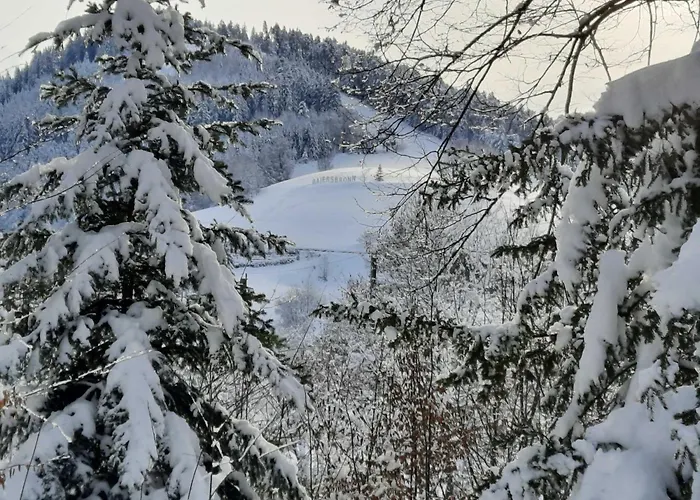 Dieter Rothfuss Апартаменты Байрсброн