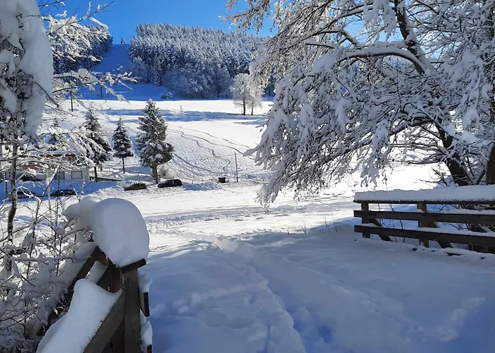 Dieter Rothfuss * Байрсброн