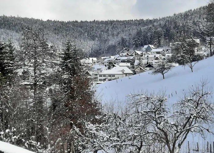 Dieter Rothfuss Байрсброн