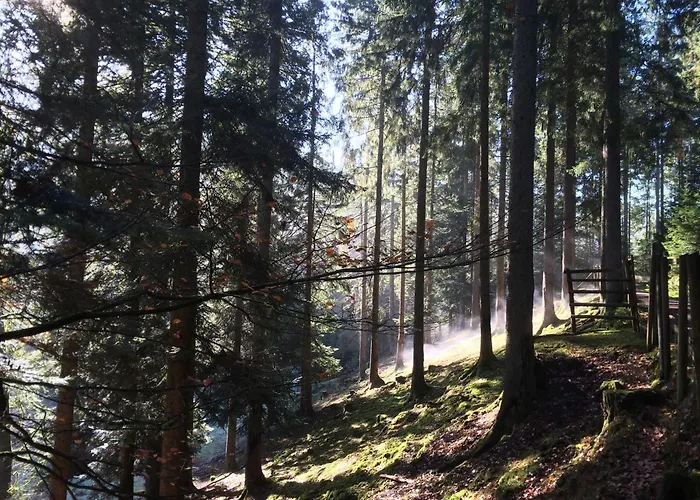 Апартаменты Dieter Rothfuss *